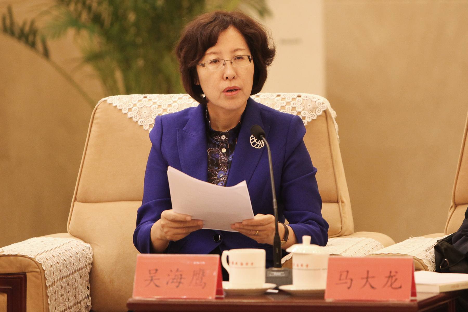 中国科协党组成员、书记处书记吴海鹰发言